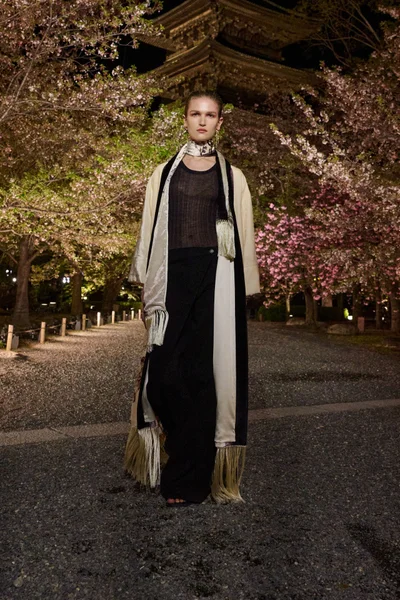 Look 53